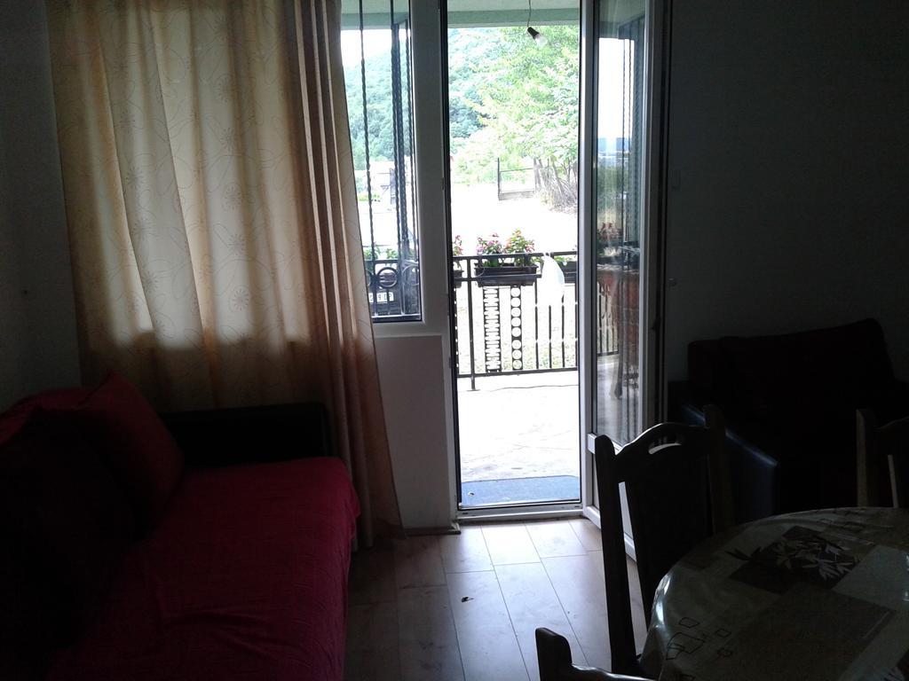 Apartment Pavlovic Soko Banja Exteriér fotografie