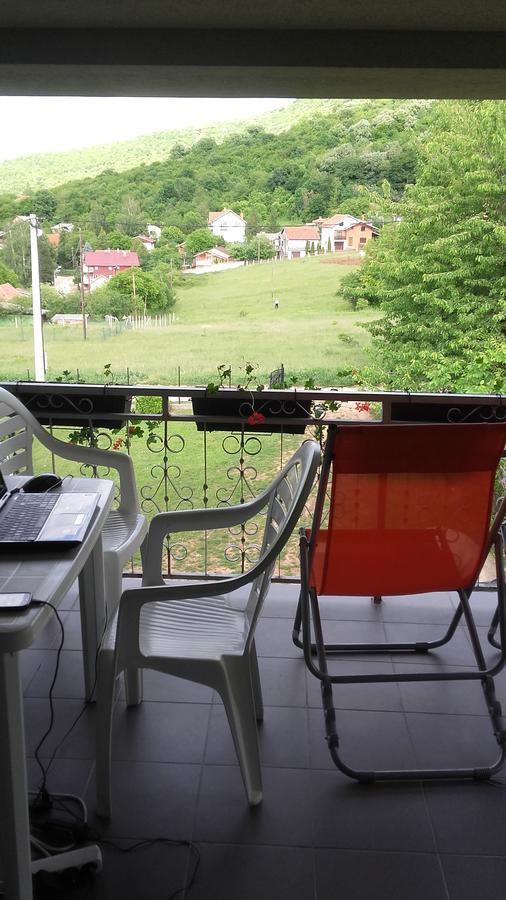 Apartment Pavlovic Soko Banja Exteriér fotografie